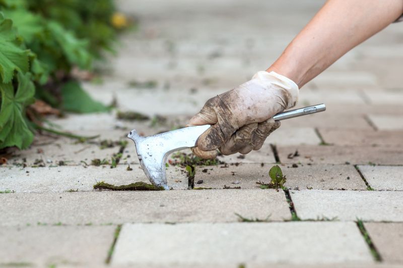 Paver Removal Service