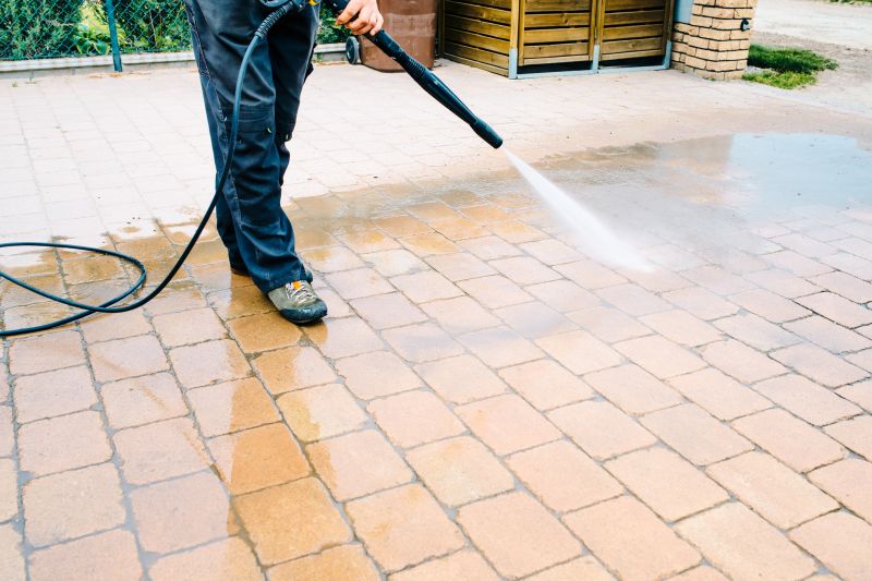 Paver Removal